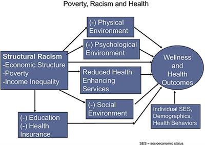 Poverty, Racism, and the Public Health Crisis in America